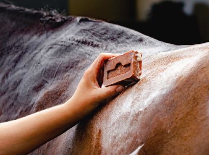 Natural Dermatological Soap KEVIN BACON'S Active Soap –  for Horses, Dogs, Cats and Humans