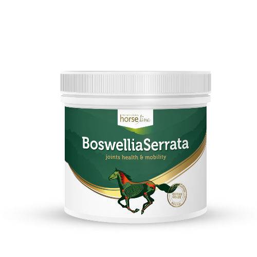 HorseLinePRO BoswelliaSeratta MSM + Witaminy C - profilaktyka aparatu ruchu, sztywność stawów i mięśni 500g