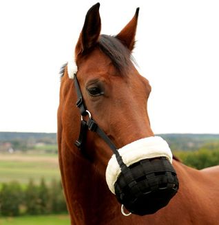 Muzzle Teddy Fleece COVALLIERO Black - 3