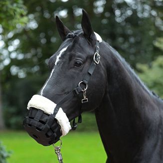 Muzzle Teddy Fleece COVALLIERO Black - 4