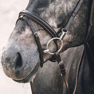 SCHOCKEMÖHLE Bridle STUTTGART / 1100-00053 - 3