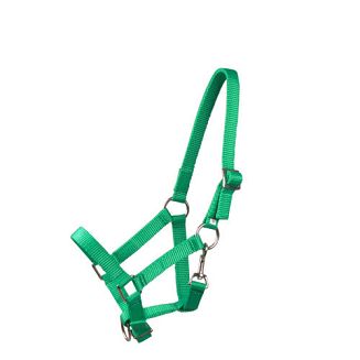 MUSTANG Kantar taśmowy źrebięcy - F -  źrebak / 0011 - 31 jasnozielony