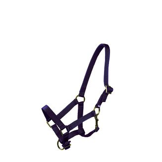 MUSTANG Kantar taśmowy źrebięcy - F -  źrebak / 0011 kolor 55 - granatowy