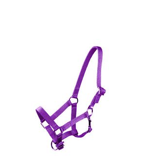 MUSTANG Kantar taśmowy źrebięcy - F -  źrebak / 0011 56 fioletowy