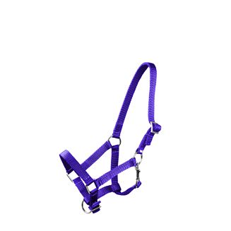 MUSTANG Kantar taśmowy źrebięcy - F -  źrebak / 0011 54 szafirowy