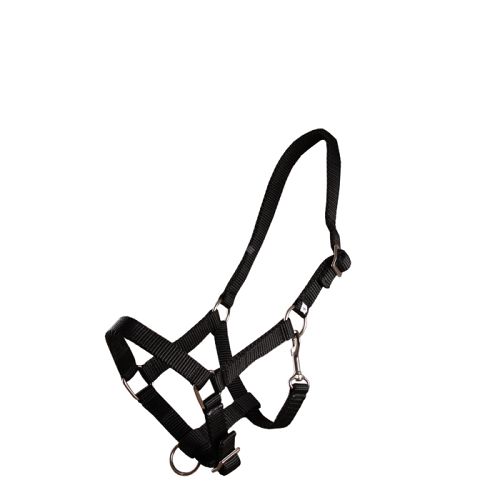 MUSTANG Kantar taśmowy źrebięcy - F -  źrebak / 0011 - 18 czarny