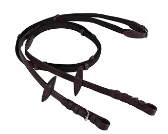 Reins QHP / 2013 - 2