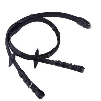Reins QHP / 2013