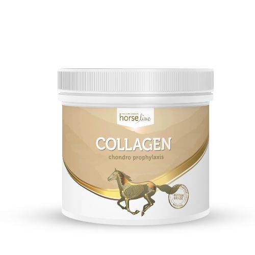 HorseLinePRO Kolagen - Hydrolizowane białko kolagenowe o wysokiej biodostępności 300g