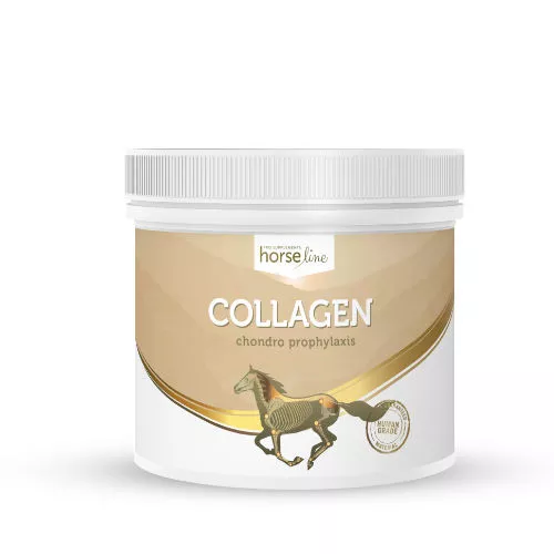 HorseLinePRO Kolagen - Hydrolizowane białko kolagenowe o wysokiej biodostępności 300g