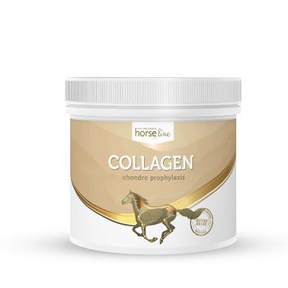 HorseLinePRO Kolagen - Hydrolizowane białko kolagenowe o wysokiej biodostępności 300g