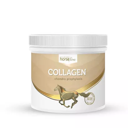 HorseLinePRO Kolagen - Hydrolizowane białko kolagenowe o wysokiej biodostępności 300g