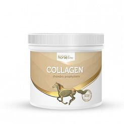 HorseLinePRO Kolagen - Hydrolizowane białko kolagenowe o wysokiej biodostępności 300g