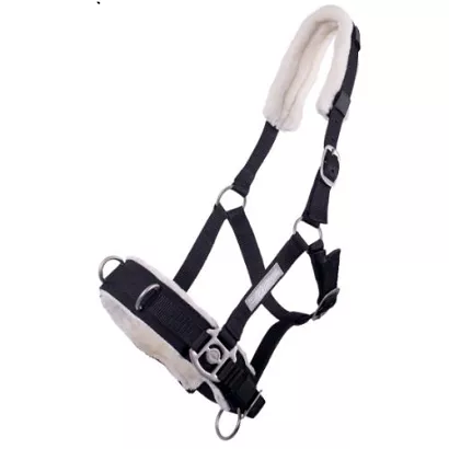 Cavesson QHP / 1668