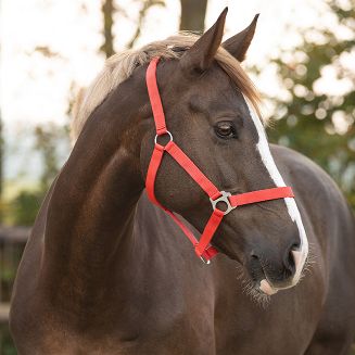 Web Halter QHP Slide, Bright Red / 1040 - 2