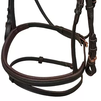 Leather Bridle Y Gemma with Combined Noseband, Web Reins, Brown / 39180 - 3