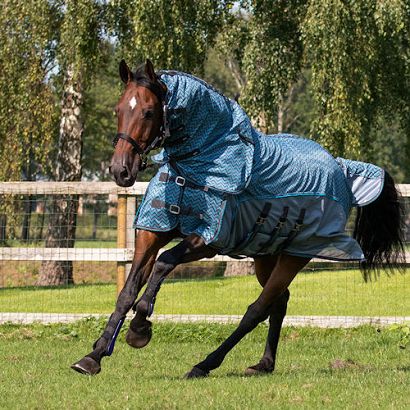 Rug with neck and hood QHP ANTI-FLY / 6284