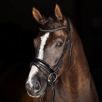 Nachrapnik szwedzki COVALLIERO lakierowany, czarny lakierowany - 2