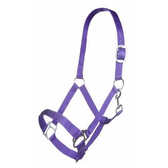 HKM Kantar taśmowy Brisbane - fioletowy