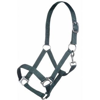 HKM Kantar taśmowy Brisbane - zielony