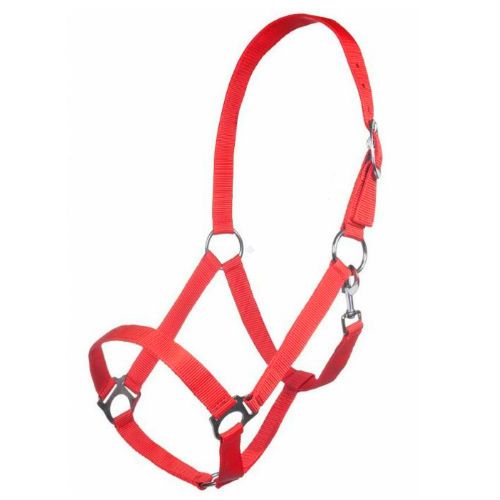 HKM Kantar taśmowy Brisbane - czerwony