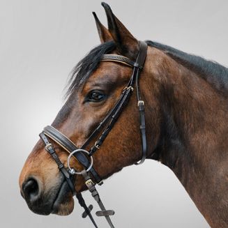 Ogłowie podszywane STAR DIAMANT z nachrapnikiem kombinowanym / 8135 - 10