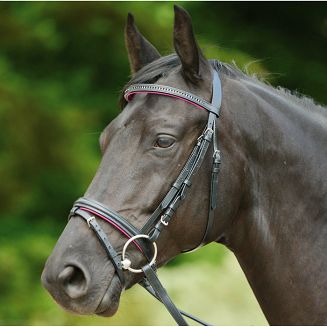 STAR Ogłowie podszywane DIAMANT z nachrapnikiem kombinowanym / 8135 czarna skóra + fuksja podszycie + kolorowe kryształki