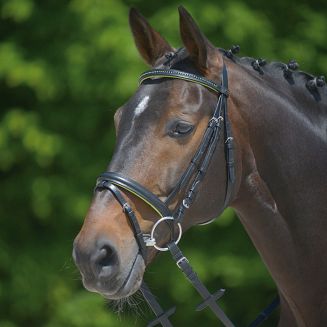 STAR Ogłowie podszywane DIAMANT z nachrapnikiem kombinowanym / 8135 czarna skóra +  limonkowe podszycie + limonkowe kryształki