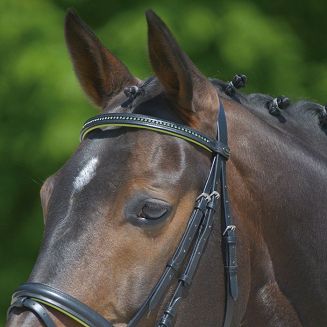 STAR Ogłowie podszywane DIAMANT z nachrapnikiem kombinowanym / 8135 czarna skóra +  limonkowe podszycie + limonkowe kryształki