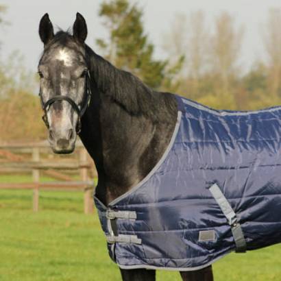 Stable rug QHP START 300g / 6119