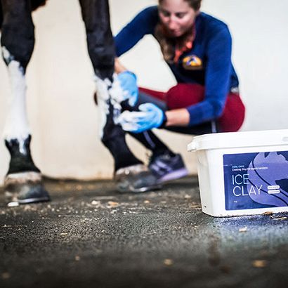 Cools down stressed tendons CAVALOR Ice Clay®  4 kg