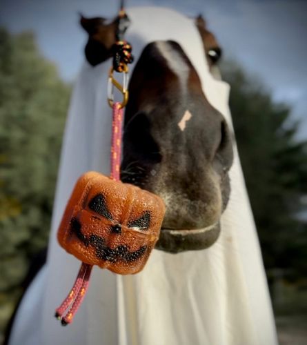 Lizawka Pumpkin Spice CANDY BELLS / 600g