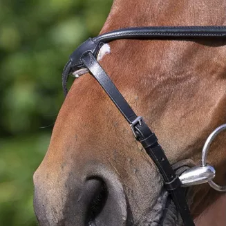 Leather bridle RIDING WORLD figure-8 noseband - black / 3010052 - 3