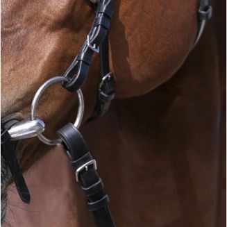 Leather bridle RIDING WORLD figure-8 noseband - black / 3010052 - 5