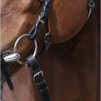 Leather bridle RIDING WORLD figure-8 noseband - black / 3010052 - 5