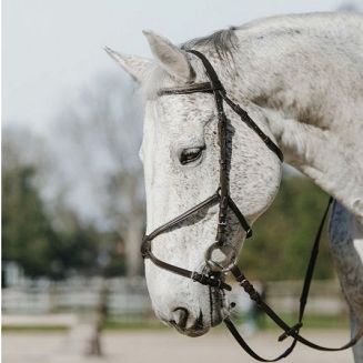 Leather bridle RIDING WORLD figure-8 noseband - black / 3010052 - 6