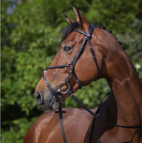 Leather bridle RIDING WORLD figure-8 noseband - black / 3010052