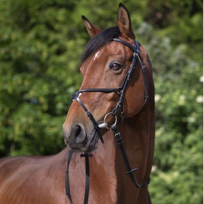 Leather bridle RIDING WORLD figure-8 noseband - black / 3010052
