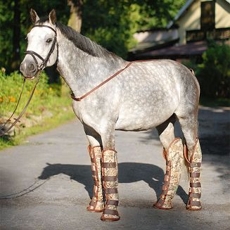 Transport Boots  AMIGO (set 4 ) moro khaki - 2