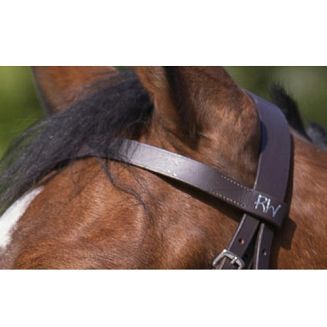 Bridle leather RIDING WORLD MUSEROLLE FRANCAISE / 301003 - 5