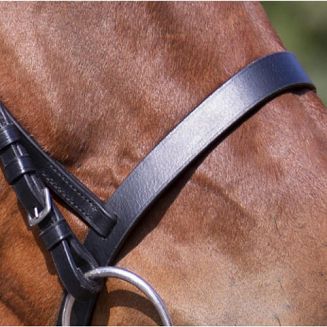 Bridle leather RIDING WORLD MUSEROLLE FRANCAISE / 301003 - 4