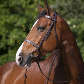 Bridle leather RIDING WORLD MUSEROLLE FRANCAISE / 301003 - 3