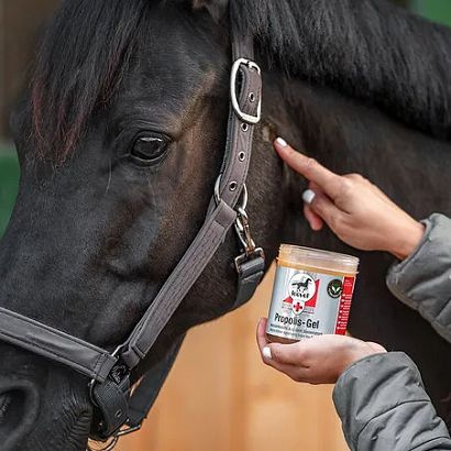 Żel propolisowy LEOVET Propolis Gel, przyspieszający regenerację tkanek 350 ml / L-161822