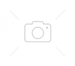 Icon_ElectroHorse_1_5kg2