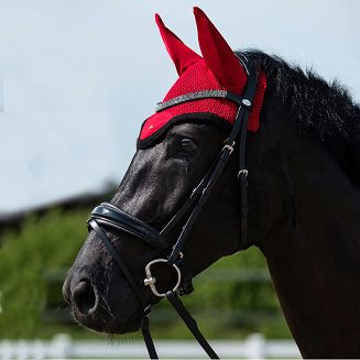 Ogłowie anatomiczne QHP Lagos, z nachrapnikiem szwedzkim. Kolor czarny