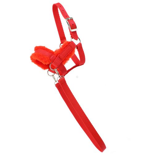 Kantar-ogłowie HOBBY HORSE podszywane futerkiem, z wodzami, czerwony