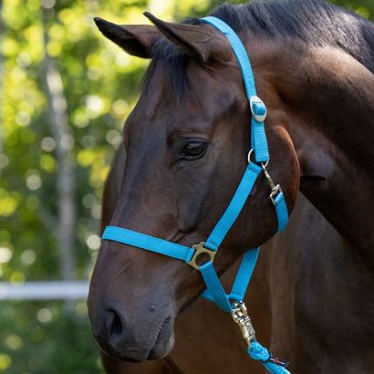 Webbing Halter COVALLIERO Hippo Blue 32304