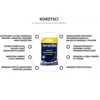 SANDEZIA® Sucha dezynfekcja 4kg