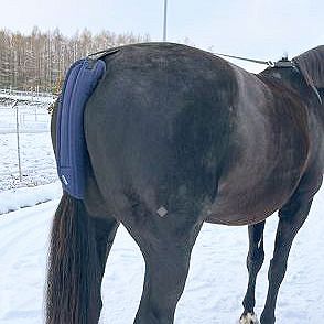 Ochraniacz na ogon TORPOL transportowy, granat / 3414-01 - 3