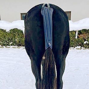 Ochraniacz na ogon TORPOL transportowy, granat / 3414-01 - 4